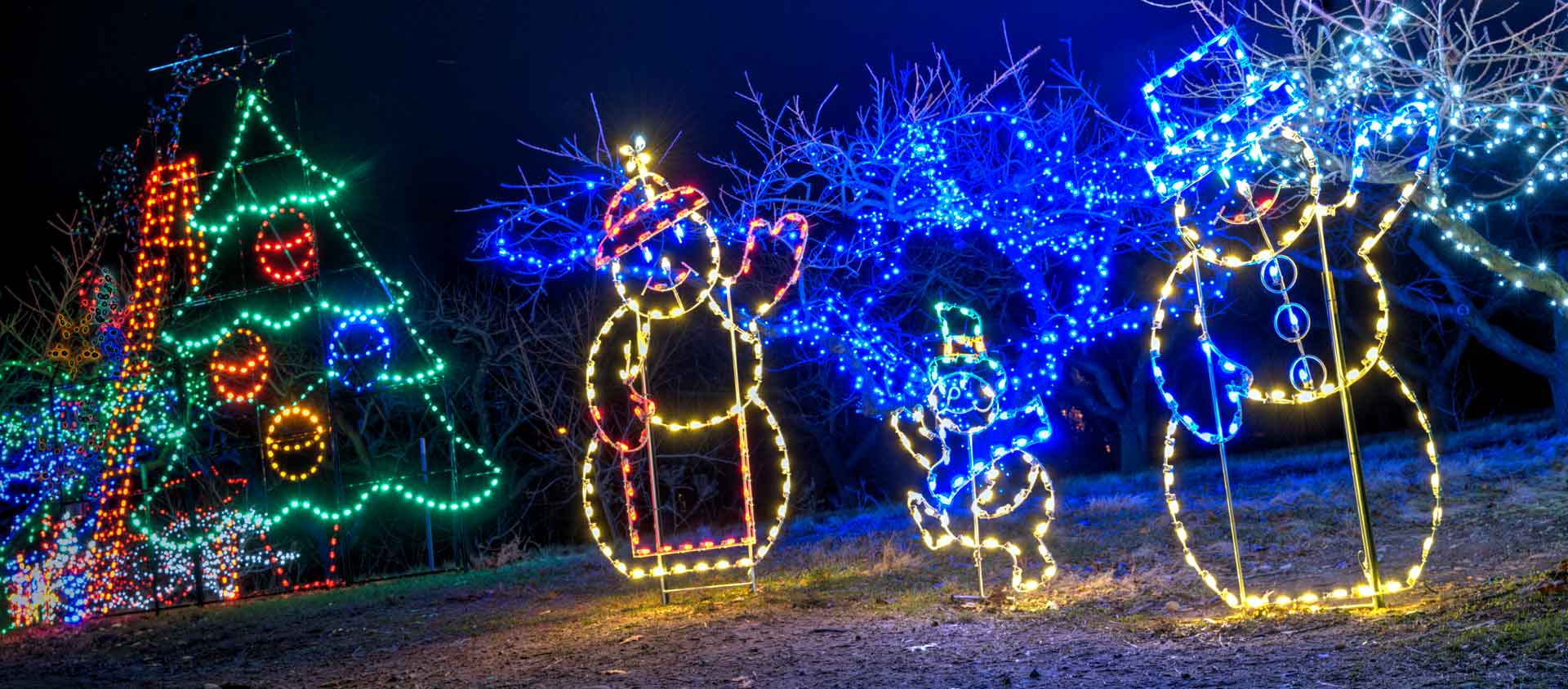 Contact Demarest Farms Orchard of Lights in Hillsdale New Jersey