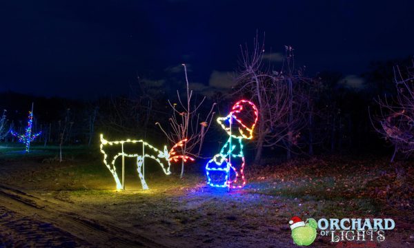 lights elf feeding deer